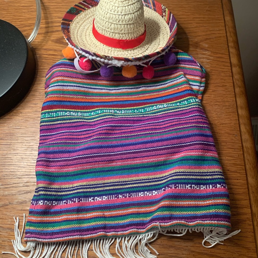 Size XS/S Pet Poncho & Sombrero